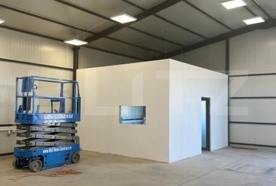 Hala 290,6 mp si 1263 mp teren, zona Carcea - 11