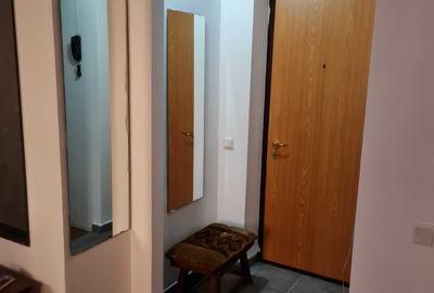 Apartament cu 2 camere semidecomandat în Gorjului - 8
