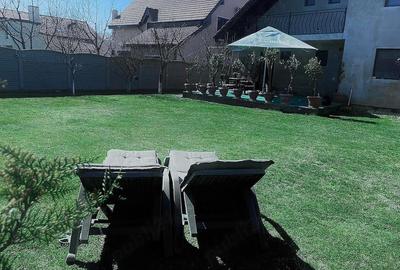 Casă cu Teren 761 Mp în Șag - 2