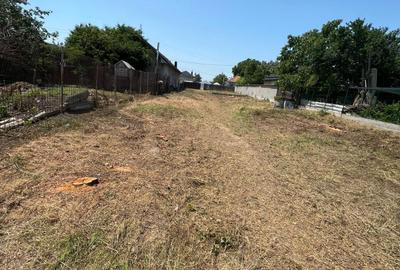 Spațiu comercial, în Curtișoara