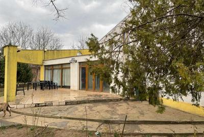 Casă individuală cu 10 camere cu Garaj în Central - 4