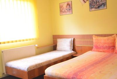 Pensiune 11 camere ,central,Busteni - 8