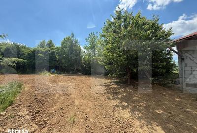 Casă cu 3 camere cu Teren 5550 Mp în Mihai Eminescu - 8