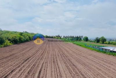 Teren agricol intravilan de 12300 mp, în Cârligi - 6