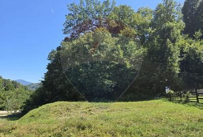 Teren 4,000mp Pascoaia / Soseaua Punctul Chiliilor - 2