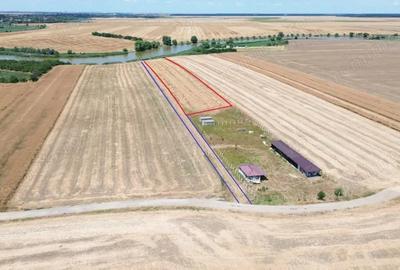 Teren de 6500 mp, în Frumușani - 4