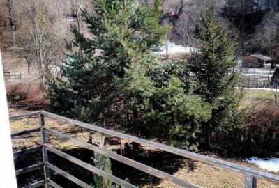 Casă cu 4 camere cu Teren 2500 Mp în Trăisteni - 2