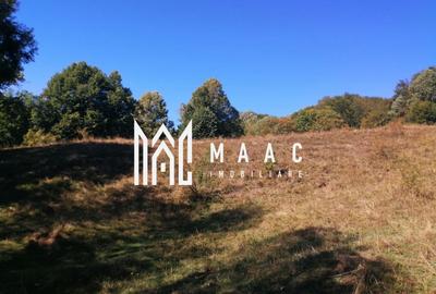 Teren agricol extravilan de 20000 mp, în Stoenești - 15