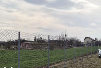 Casă cu 3 camere cu Teren 400 Mp în Moara Vlăsiei - 7