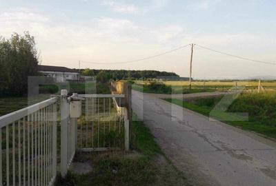 De vanzare afacere /hala , 1200mp , zona Botiz De vanzare afacere /hala , 1200mp , zona Botiz - 5