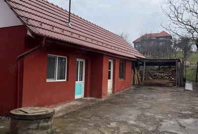 Casa de vanzare cu mansarda si gradina - 1