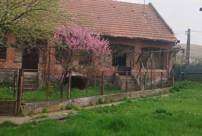 Casa cu curte ?i gradina - 2200mp - 4