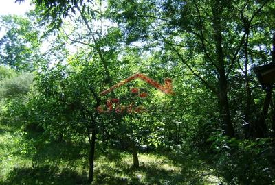 Teren de 2276 mp, în Vest