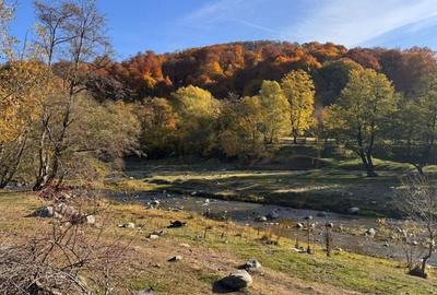 Teren Salatrucu - 7500 mp - 1