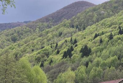Casă cu 6 camere cu Teren 1000 Mp în Marga