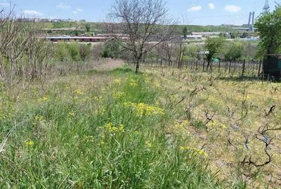 Teren de 3250 mp, în Central - 11