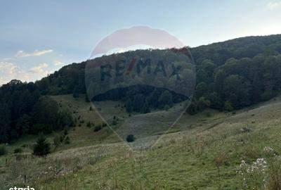 Teren de 2050 mp, în Recea - 5