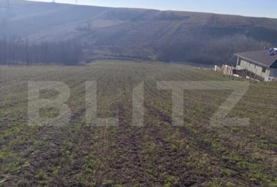 Teren 5000 mp Rediu, oportunitate investitie - 2