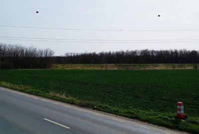 Teren intravilan 5.000 m? cu 40 m deschidere la DN2A - langa Kaufland Slobozia - 8