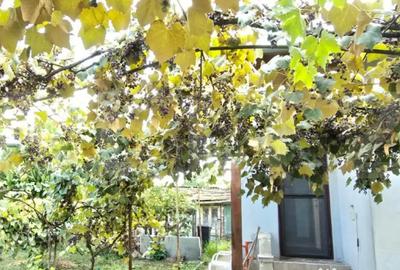 Casă cu 3 camere cu Teren 338 Mp în Nord - 3