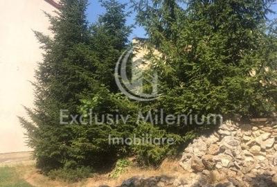 Casa la Padurea Rosu 650Mp + Teren ideal Activitati Comerciale/Birouri - 13