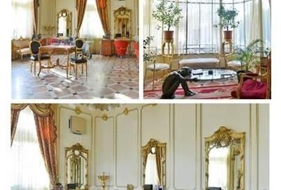 Vila somptuoasa - de inchiriat - Piata Romana - 4