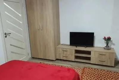 Garsonieră semidecomandată în Lăpuș - 2