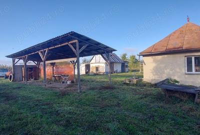Casă cu 2 camere în Silagiu - 9