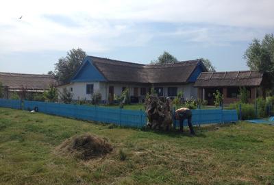 Proprietar vând 2,6 ha de teren parcelat, lângă Dunăre la Nufăru, Tulcea - 11