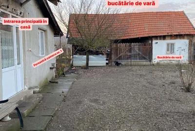 Vand sau schimb, 1439 mp, sat Bodo - 6