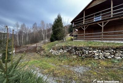Oportunitate unica! 5ha + 2 cabane de vacanta in Valea Ierii - 9