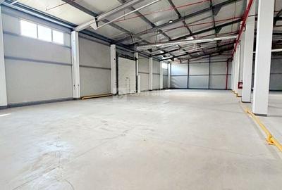 Spațiu industrial, de 1,800 mp, în Păcurari - 1