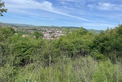 Teren intravilan de vanzare, 1952mp, Dealul Florilor - 1