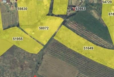 Teren agricol intravilan de 850 mp, în Săldăbagiu de Munte - 5