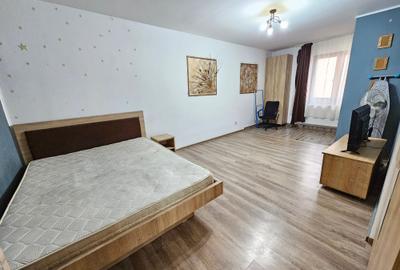 Calea Calarasilor/Piata Muncii/Centrala Proprie/Garsoniera in Vila/ - 3