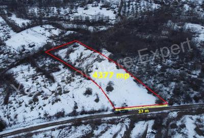Teren de 4377 mp, în Bradu - 1