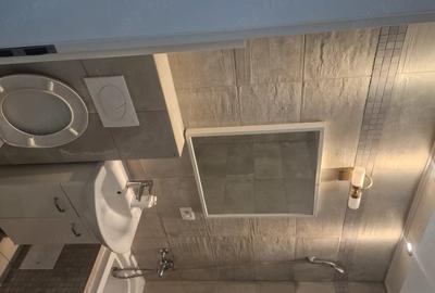 Apartament cu 2 camere decomandat în Dumbrăvița - 5