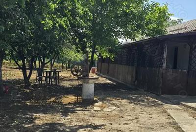 Casă cu 3 camere în Brezoaele - 8