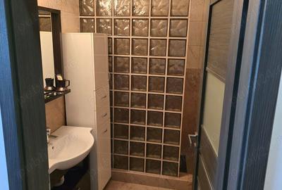 Apartament cu 2 camere decomandat în Nufărul - 10