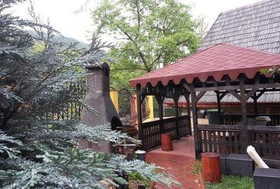 Vila de LUX de vanzare in SINAIA Vila de LUX de vanzare in SINAIA - 2