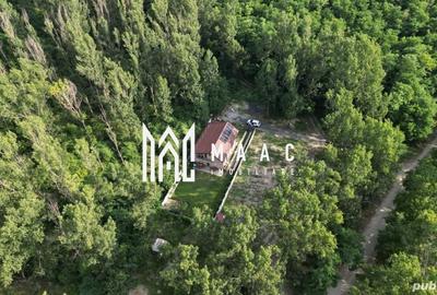 Casă cu 4 camere cu Canalizare în Ostroveni - 4