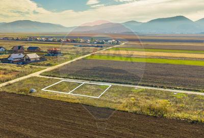 0% Comision | Teren 650 mp | Sacele, Str. Venus | Curent ... - 6