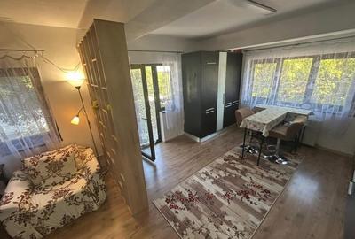 450euro-2camere 65mp-Crangasi Lacu Morii-centrala proprie - 7