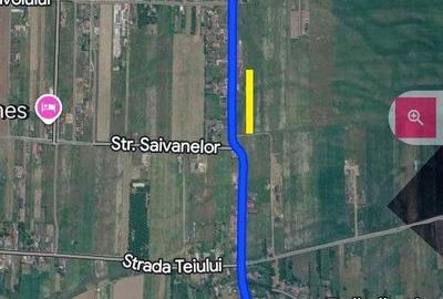 Teren de 2600 mp, în Brășăuți - 1