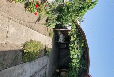 Casă cu 4 camere cu Teren 1300 Mp în Băilești - 1