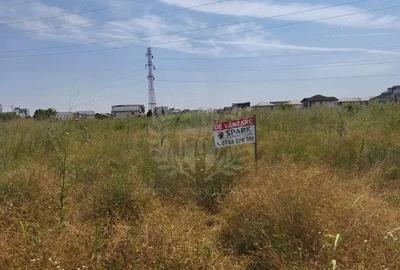 TEREN CARTIER ALBERT//INTRAVILAN TEREN CARTIER ALBERT//INTRAVILAN - 7