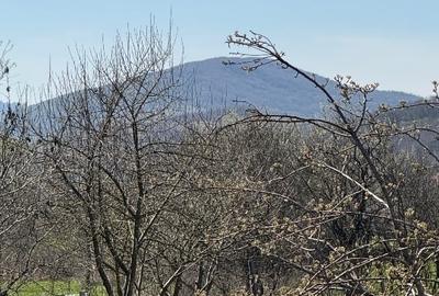 Casă de vânzare în Agrij - 7