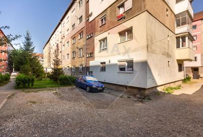 Apartament doua camere Vitrometan Medias - 12