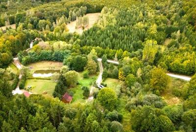 Casă cu 4 camere cu Teren 2100 Mp în Central - 7