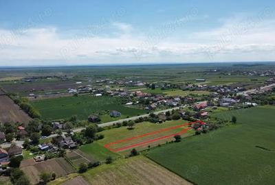 Teren intravilan de 1.900 mp | Decebal | La doar 3,5 km de Satu Mare - 9